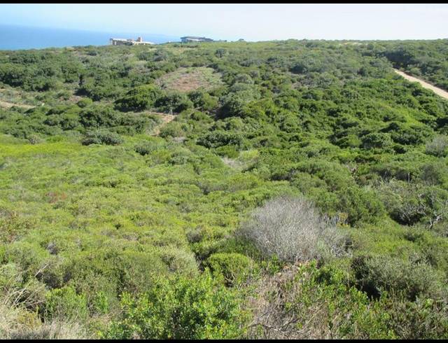 LAND FOR SALE IN PARADISE COAST